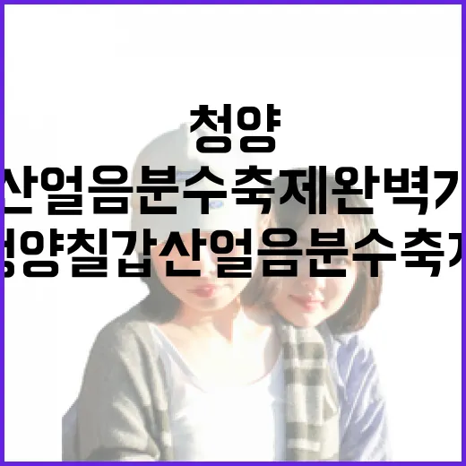 청양 칠갑산 얼음분수축제 완벽 가이드