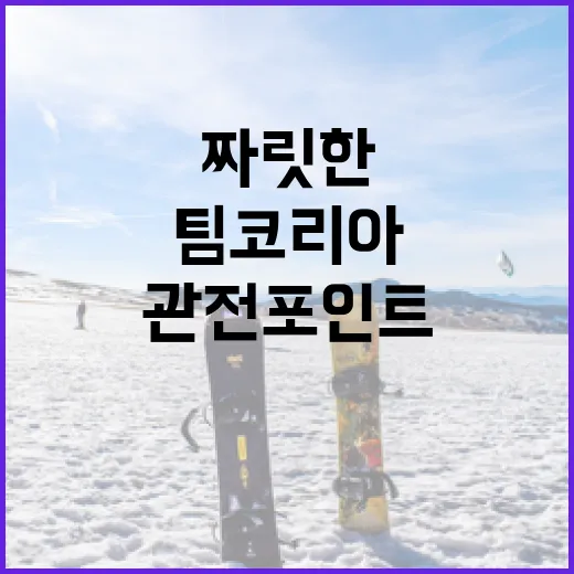 팀코리아 짜릿한 관전포인트 총정리