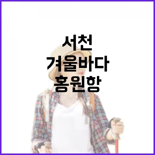 서천 홍원항 겨울 바다의 매력