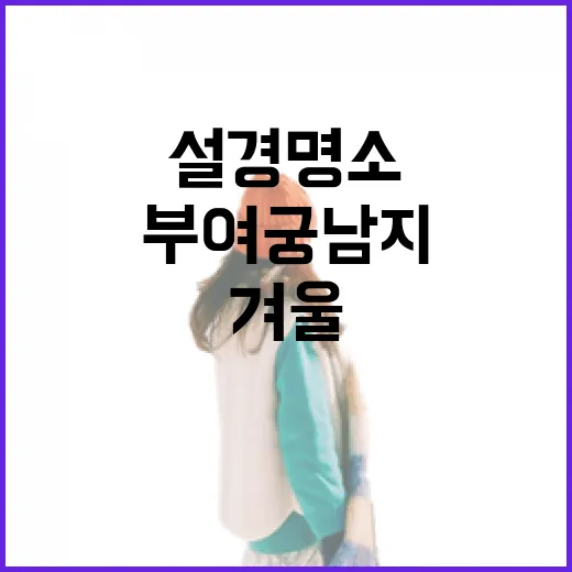 눈 내린 부여 궁남지, 겨울 설경 명소