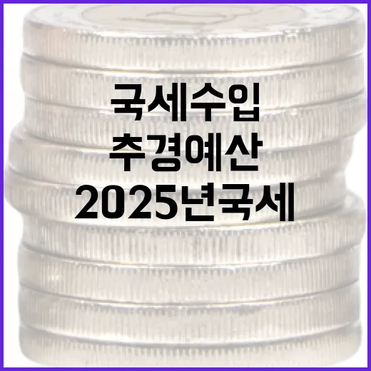 2025년 국세수입 실적, 추경예산 기준이 적절
