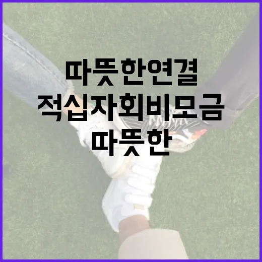적십자회비 모금, 이웃 사랑의 따뜻한 연결
