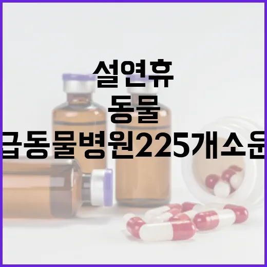 설 연휴 경남 응급 동물병원 225개소 운영