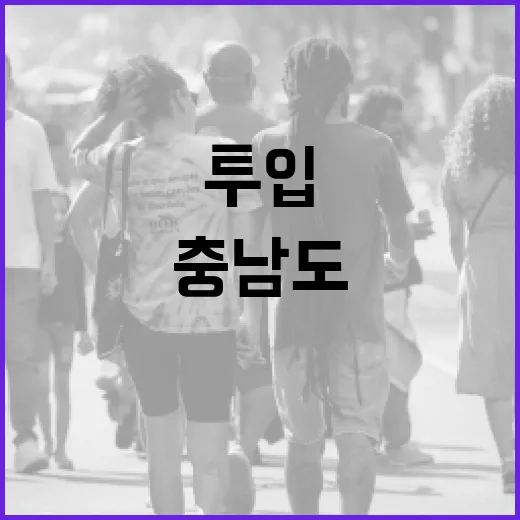 충남도, 설 연휴 3363명 투입 안전 대책 가동