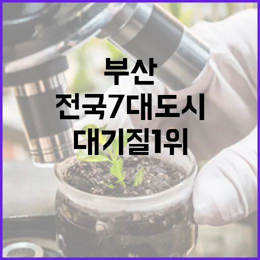 부산, 전국 7대 도시 대기질 1위 쾌거