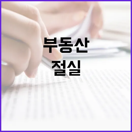 부동산 정상화, 실소유자 중심 재편 절실