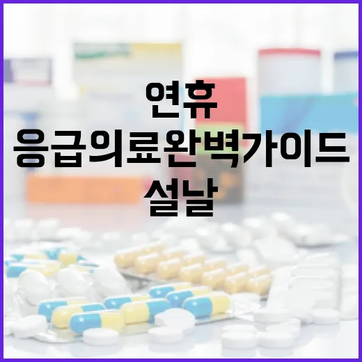 설날 연휴 인천 응급의료 완벽 가이드