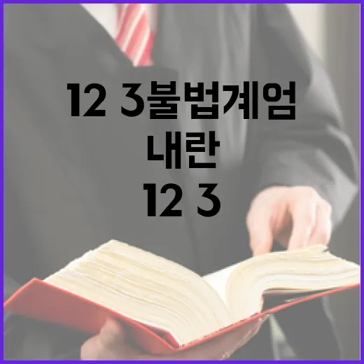12·3 불법계엄, 위로부터 내란 확인과 후속조치