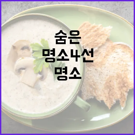 울산 숨은 카페 명소 4선