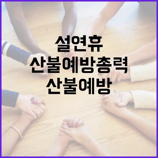 설 연휴 교통·의료·산불 예방 총력