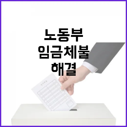 임금체불 해결과 노동부 역할의 진실