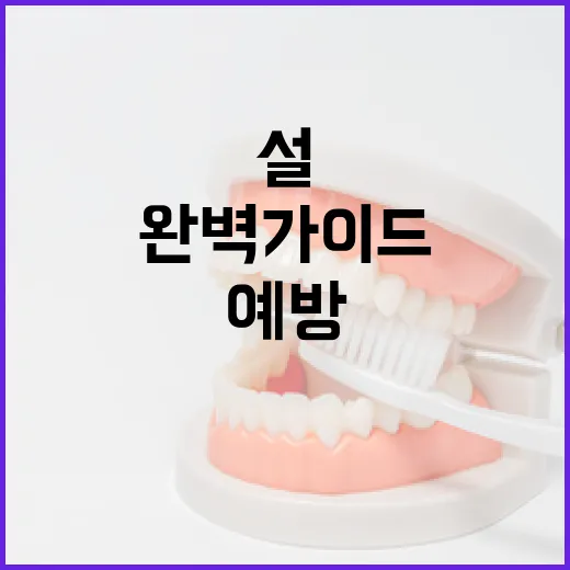 설 명절 식중독 예방 완벽 가이드