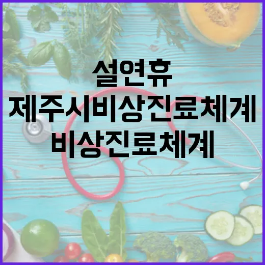 설 연휴 제주시 비상진료체계 완비
