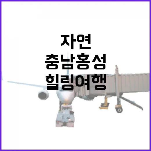 충남 홍성, 자연과 역사 속 힐링 여행