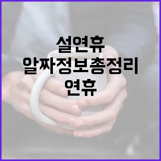 설 연휴 알짜 정보 총정리