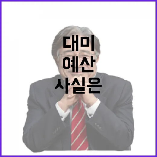 대미 로비 예산, 사실은 이렇습니다