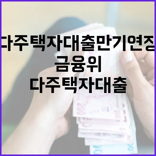 금융위, 다주택자 대출 만기연장 전면 점검