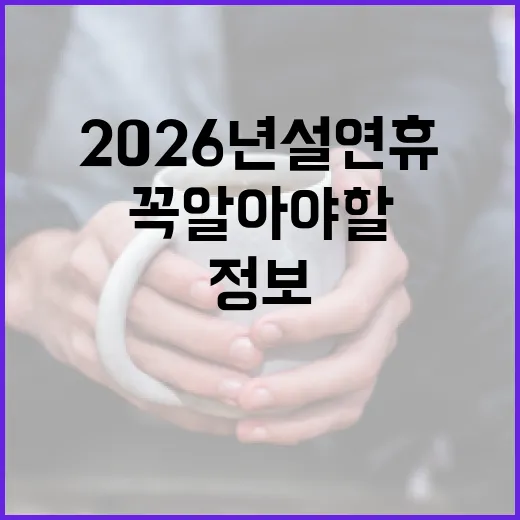 2026년 설 연휴, 꼭 알아야 할 종합정보