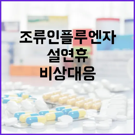 설 연휴 조류인플루엔자 비상 대응 강화