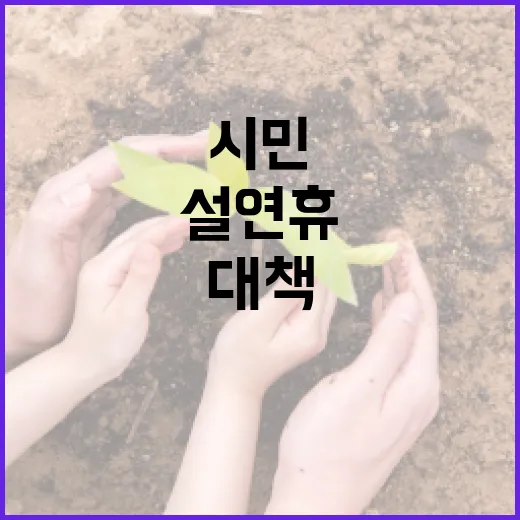 대전, 설 연휴 특별대책과 시민 지원 강화
