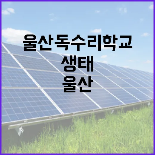 울산 독수리학교, 겨울철 독수리 생태 체험 현장