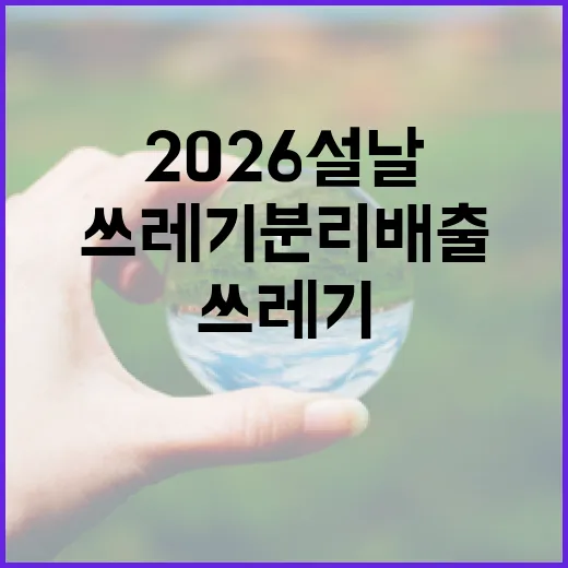 2026 설날, 광주 쓰레기 분리배출 완벽 가이드