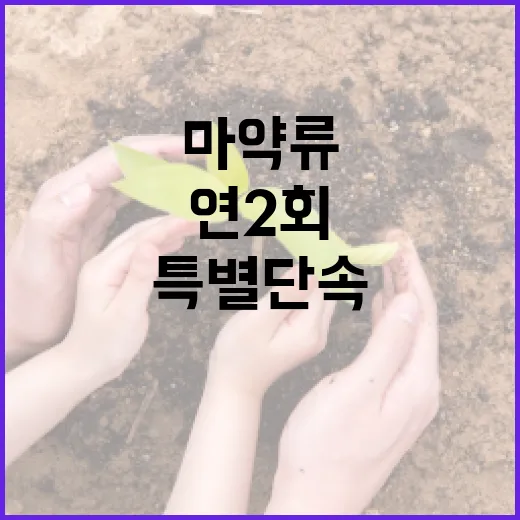 마약류 유입 취약지역 연 2회 특별단속 강화