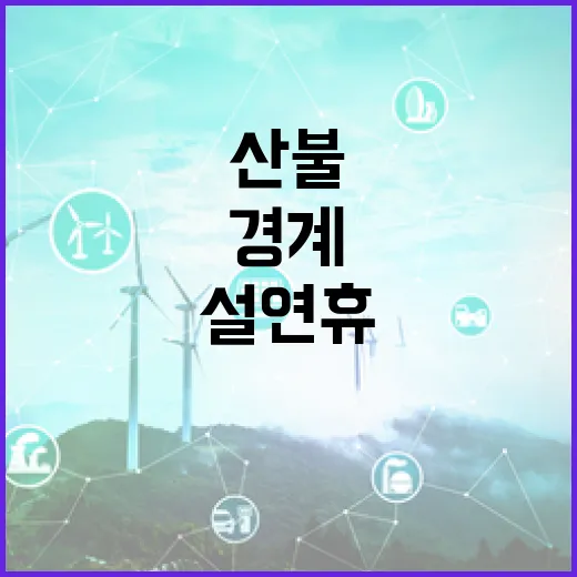 설 연휴 산불 경계 단계 격상, 정부 예방 당부