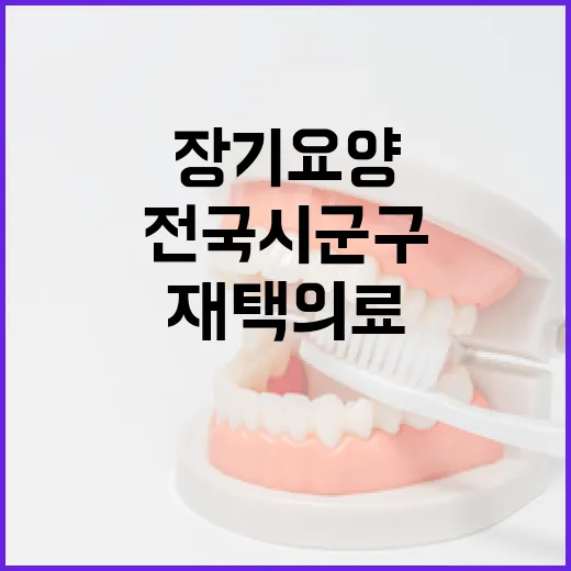 전국 시군구 장기요양 재택의료센터 완전 구축