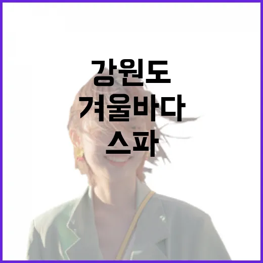 강원도 겨울 바다와…