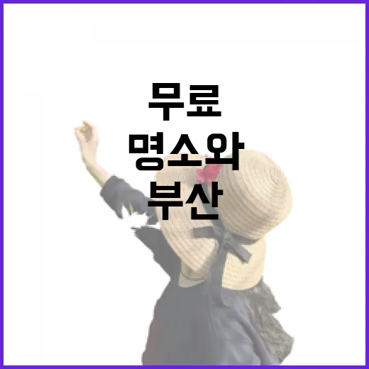 부산 무료 명소와 Visit Busan Pass 활용법