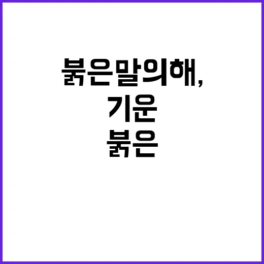 붉은 말의 해, 힘찬 기운 전하는 특별전