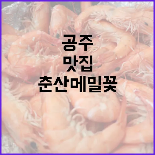 공주 겨울철 명소 춘산 메밀꽃 맛집