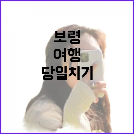 보령 겨울 당일치기 여행 완벽 가이드