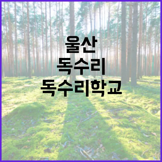 울산 독수리 학교, 겨울철 탐조 명소로 자리매김