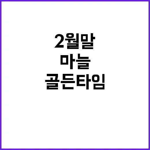 2월 말 마늘 관리, 수확량 좌우하는 골든타임