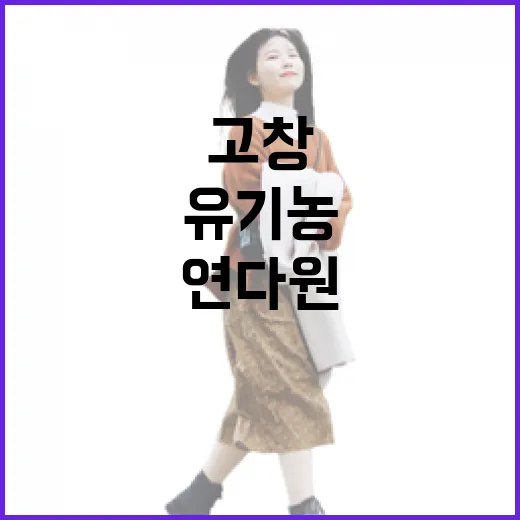 고창 연다원, 3만평 유기농 녹차밭 힐링 명소