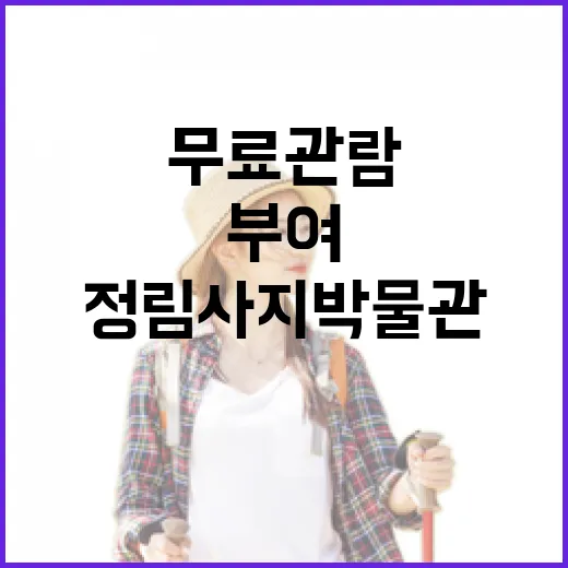 부여 정림사지박물관 무료 관람 코스