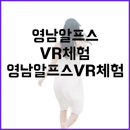 영남알프스 VR 체험, 가성비 최고