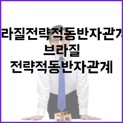 한-브라질 전략적 동반자 관계 격상