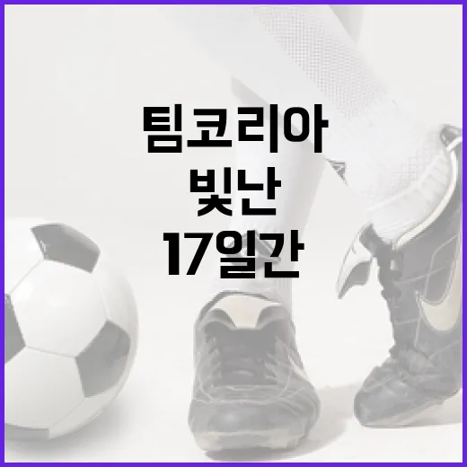 17일간 빛난 팀코리아의 투혼