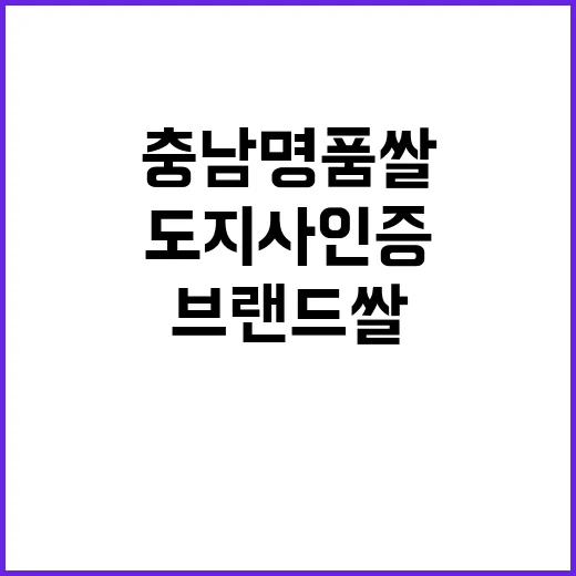 충남 명품 쌀, 도지사 인증 브랜드 쌀 공모 시작