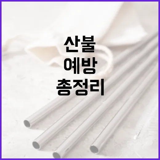 2026년 봄철 산불 신고와 예방 총정리