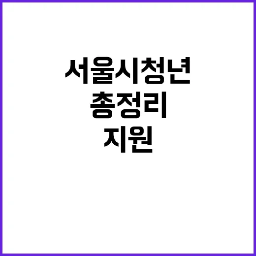 서울시 청년 생활비 지원 총정리