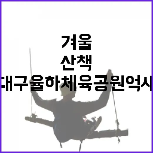 겨울 산책 명소 대구 율하체육공원 억새군락지
