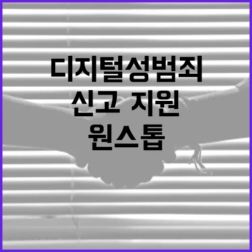 디지털 성범죄, 원스톱 신고·지원 체계 구축