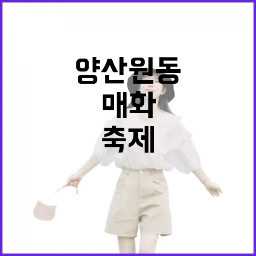 양산 원동순매원 매화 개화와 축제 소식