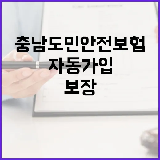 충남 도민안전보험, 자동가입과 보장 총정리