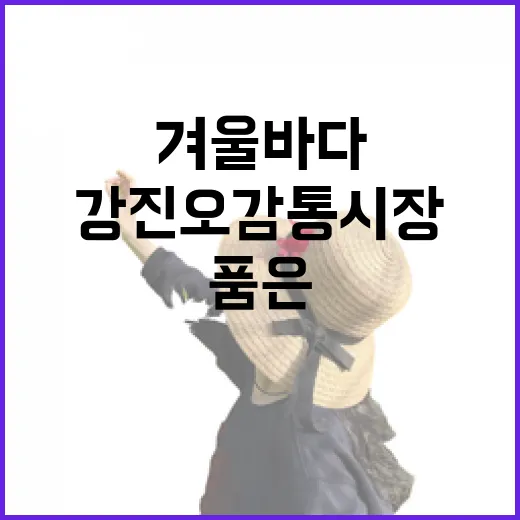 겨울 바다 품은 강진 오감통시장