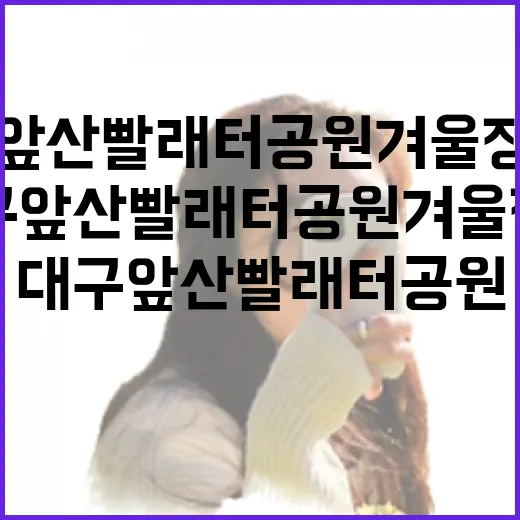 대구 앞산빨래터공원 겨울정원 빛의 향연